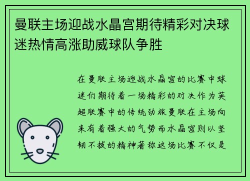 曼联主场迎战水晶宫期待精彩对决球迷热情高涨助威球队争胜