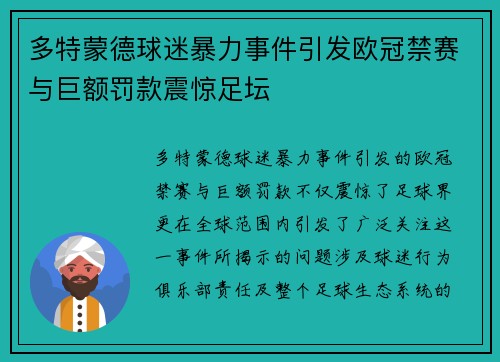 多特蒙德球迷暴力事件引发欧冠禁赛与巨额罚款震惊足坛