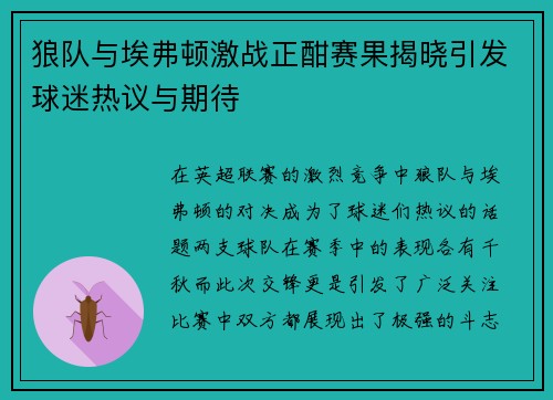 狼队与埃弗顿激战正酣赛果揭晓引发球迷热议与期待