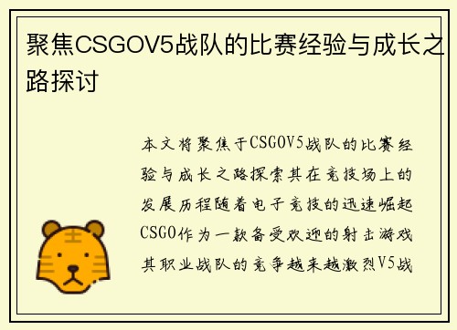 聚焦CSGOV5战队的比赛经验与成长之路探讨